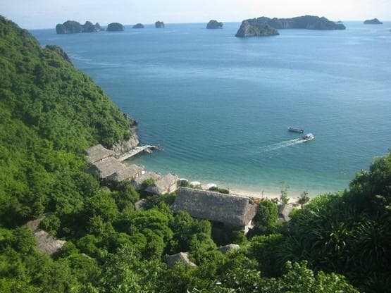                                     Monkey Island bungalows
                
                