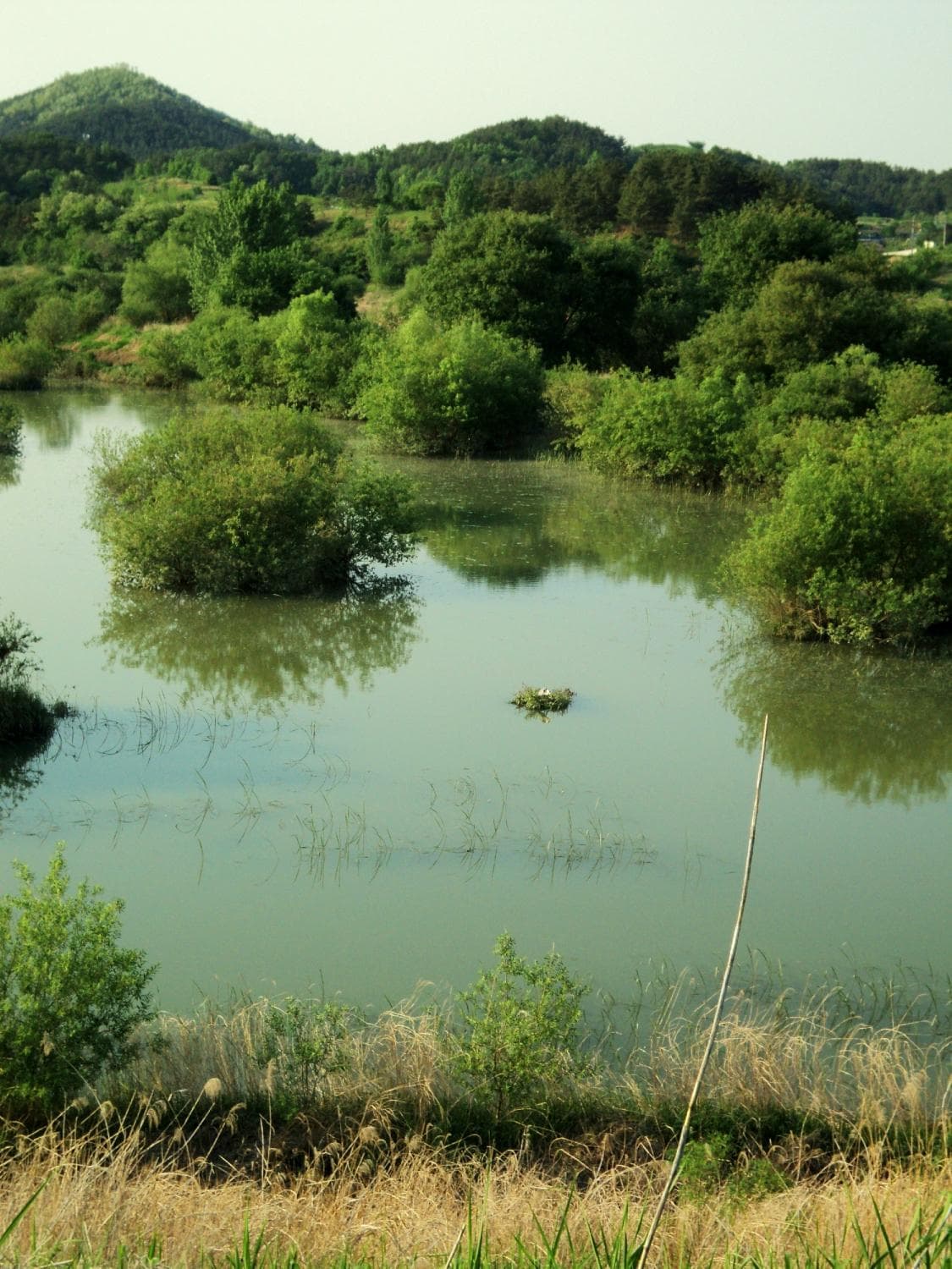                   Upo Wetland
                