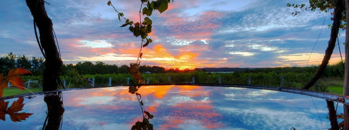 Elevated beauty on the Granite Belt