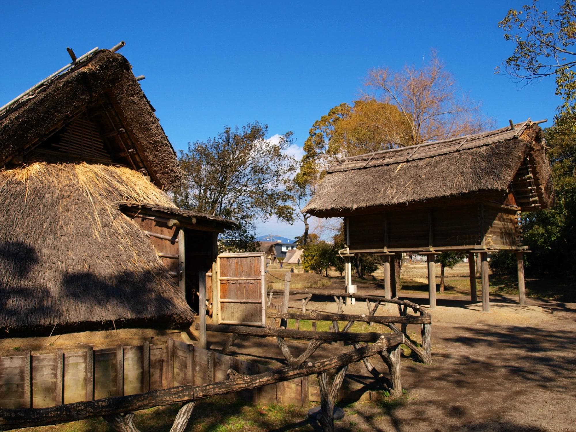 Toro Museum