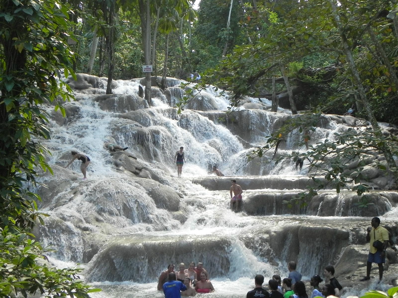 The falls