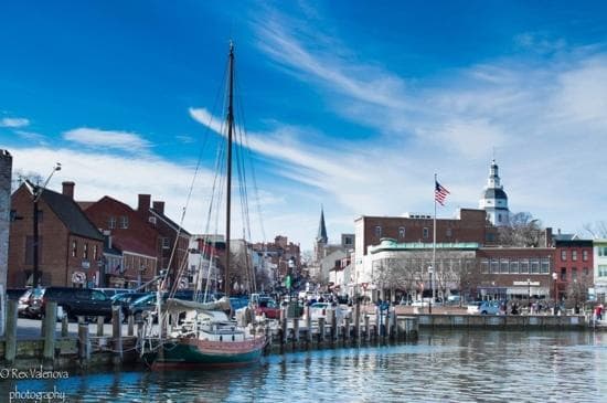                   city dock--rexray photography
                