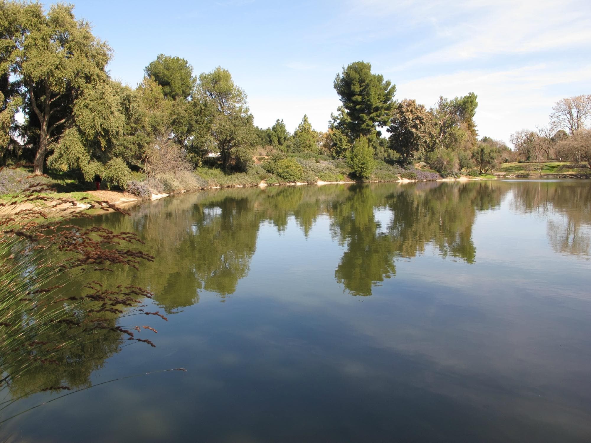                   Quiet reflection - Davis Arboretum pond
                
