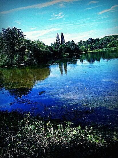                   Sevenoaks nature reserve
                