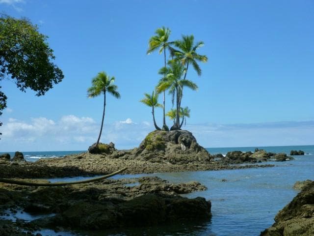 5-Palm ilsand on route to Sirena Station