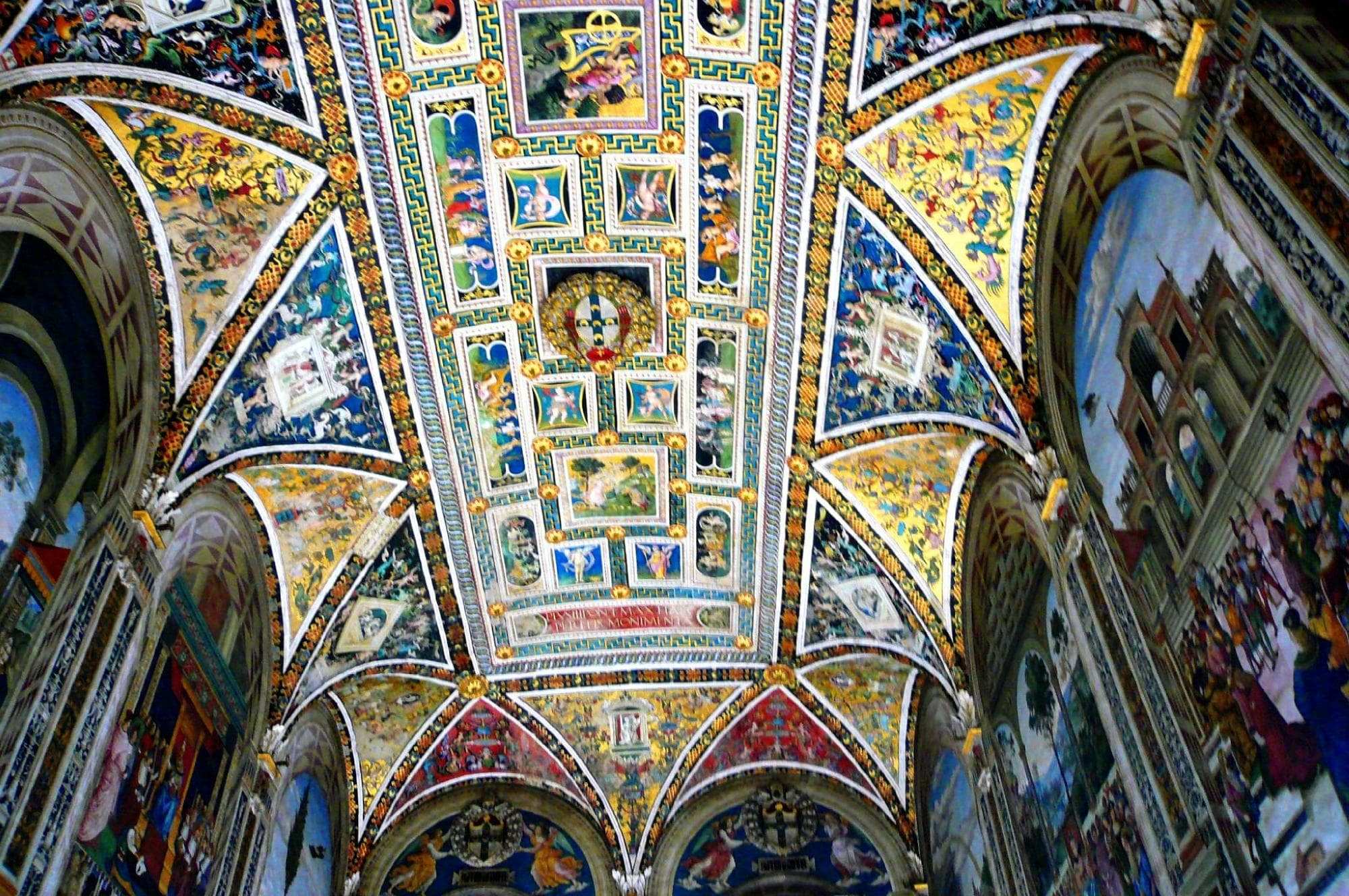 VELE E PENNACCHI DELLA VOLTA (E LE GROTTESCHE ALL'ANTICA)