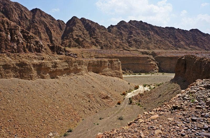 Wadi Wurayah National Park