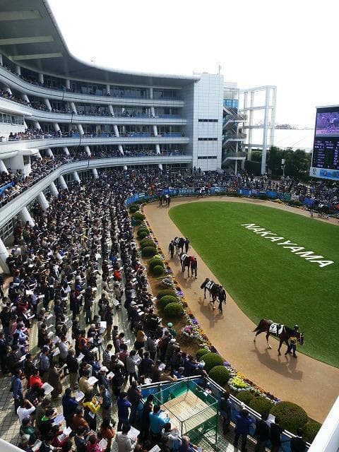 「馬好き予想家絵図」