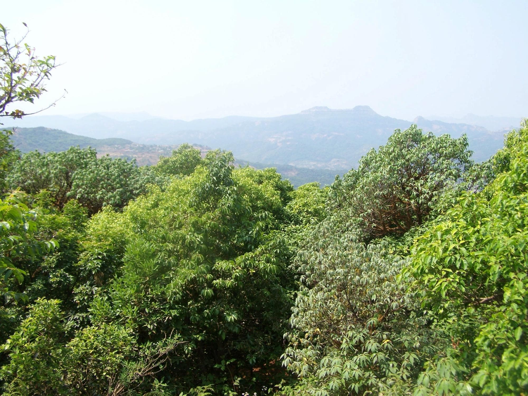 view from babbington point