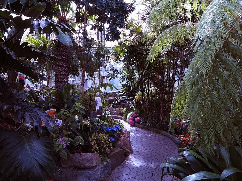Inside the conservatory