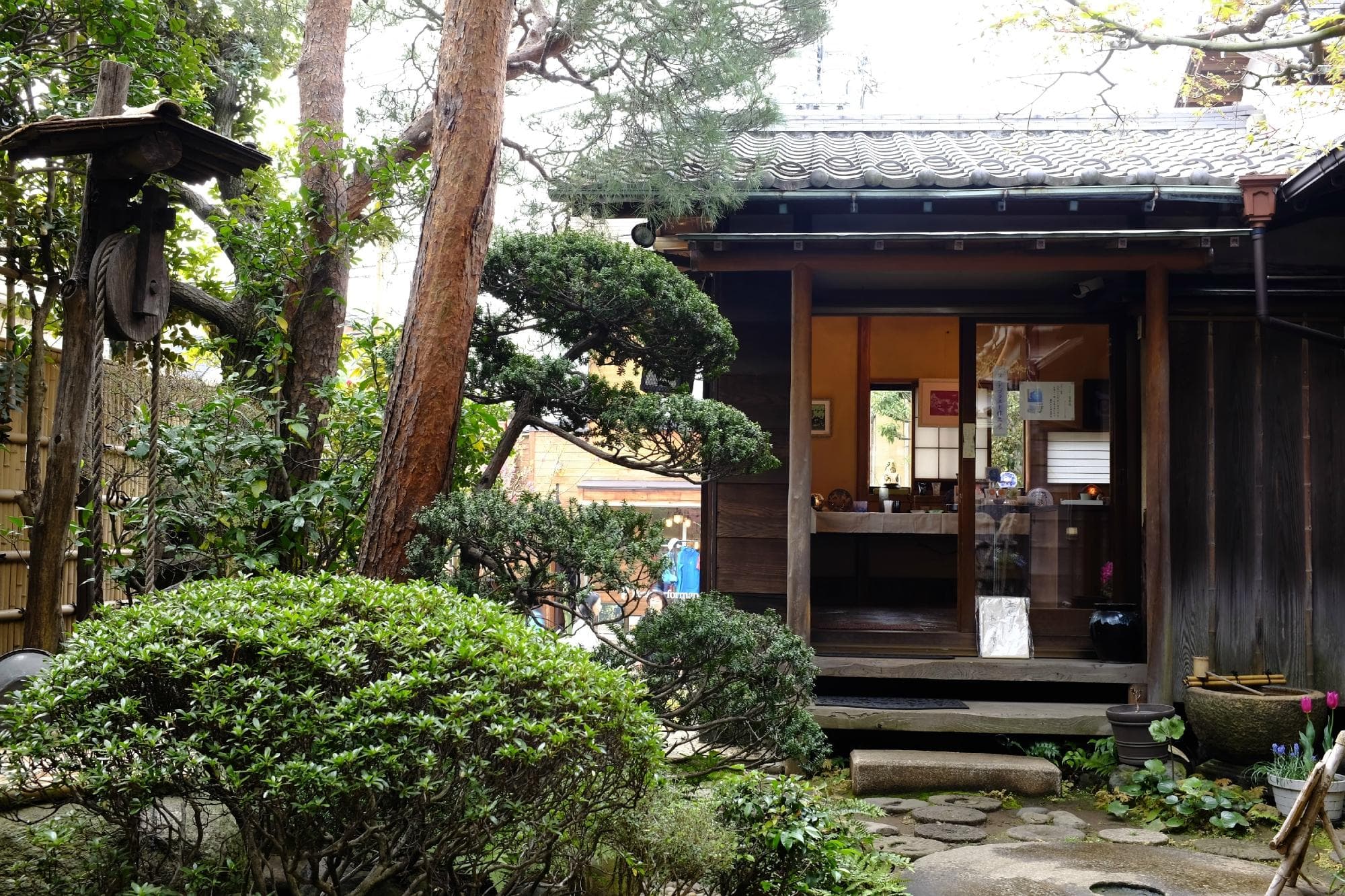 garden
