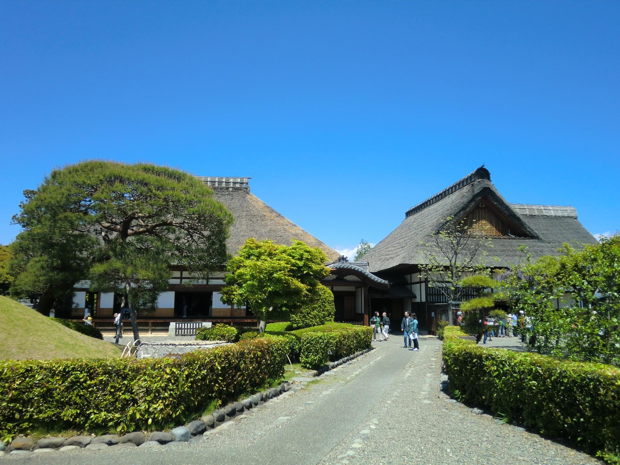 裏門前から方丈、庫裏を望む