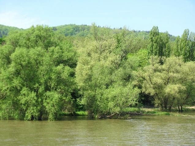 the areal seen from the boat