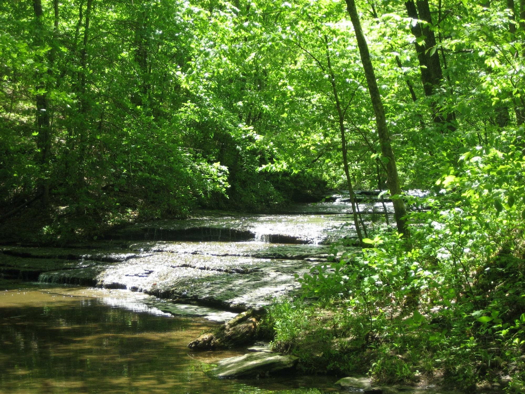 Beaman Park