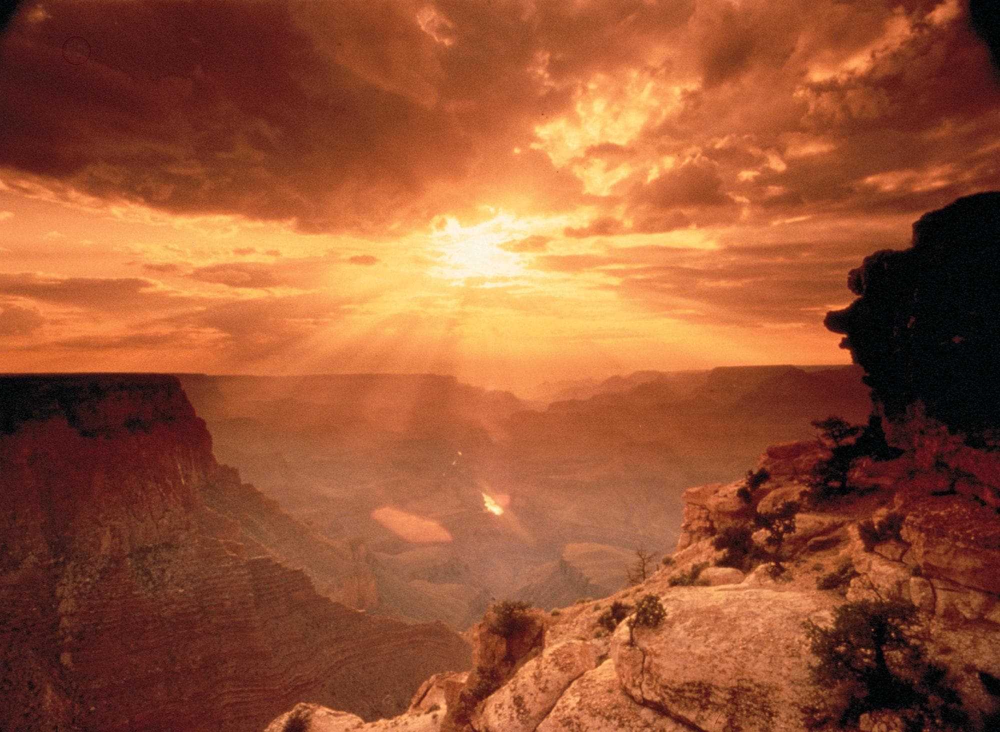 National Geographic Imax