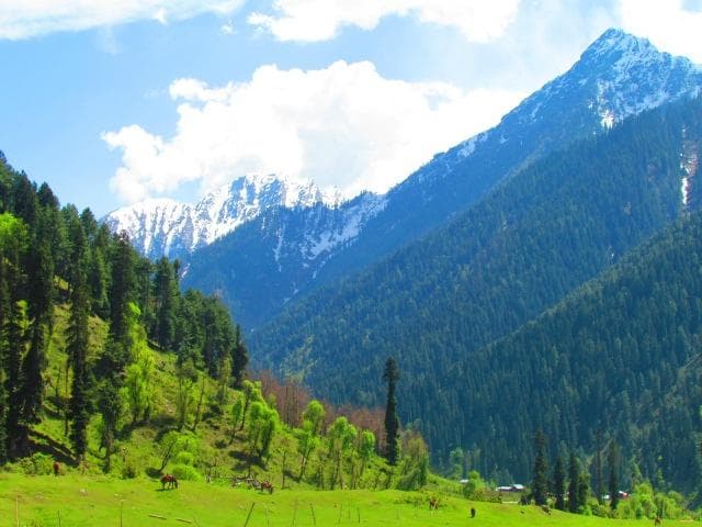 Aru Valley