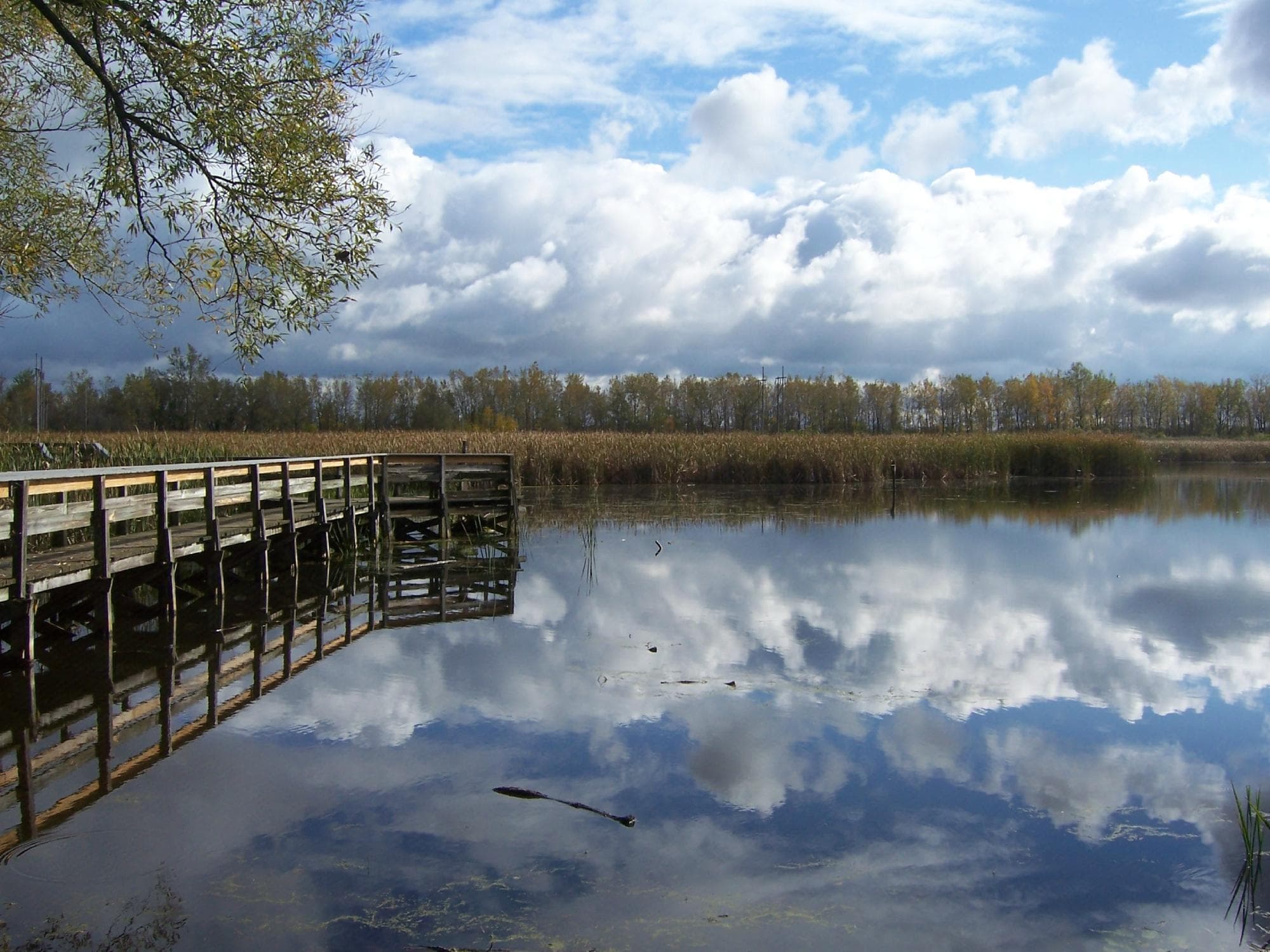 Heritage Boardwalk
