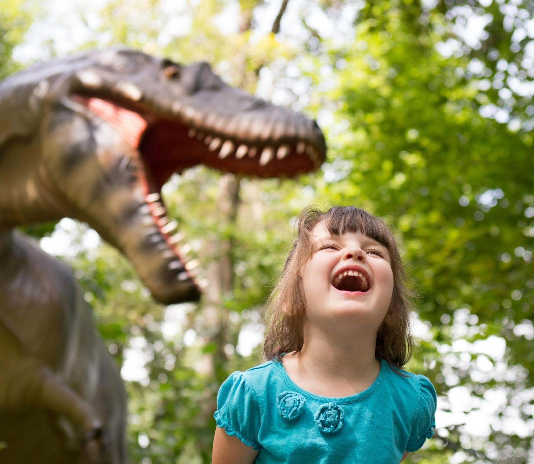 Museum of Life and Science