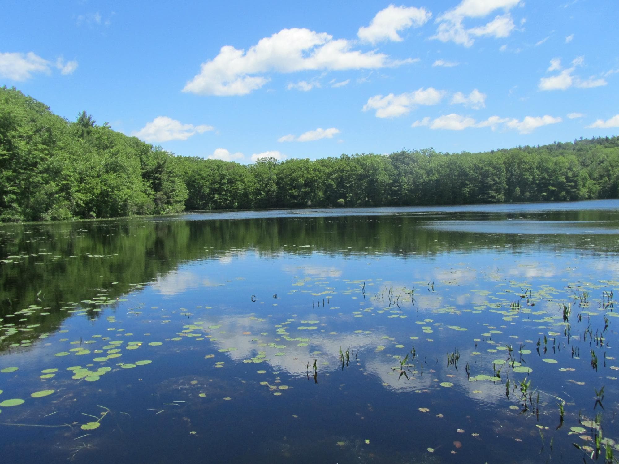 Lake