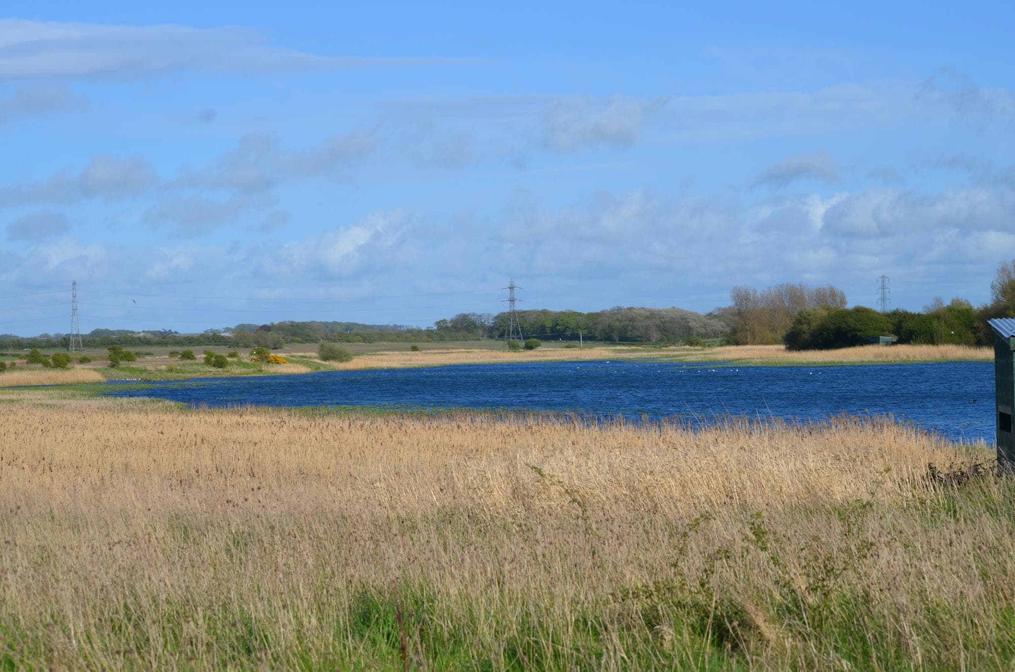 Marton Mere Local Nature Reserve