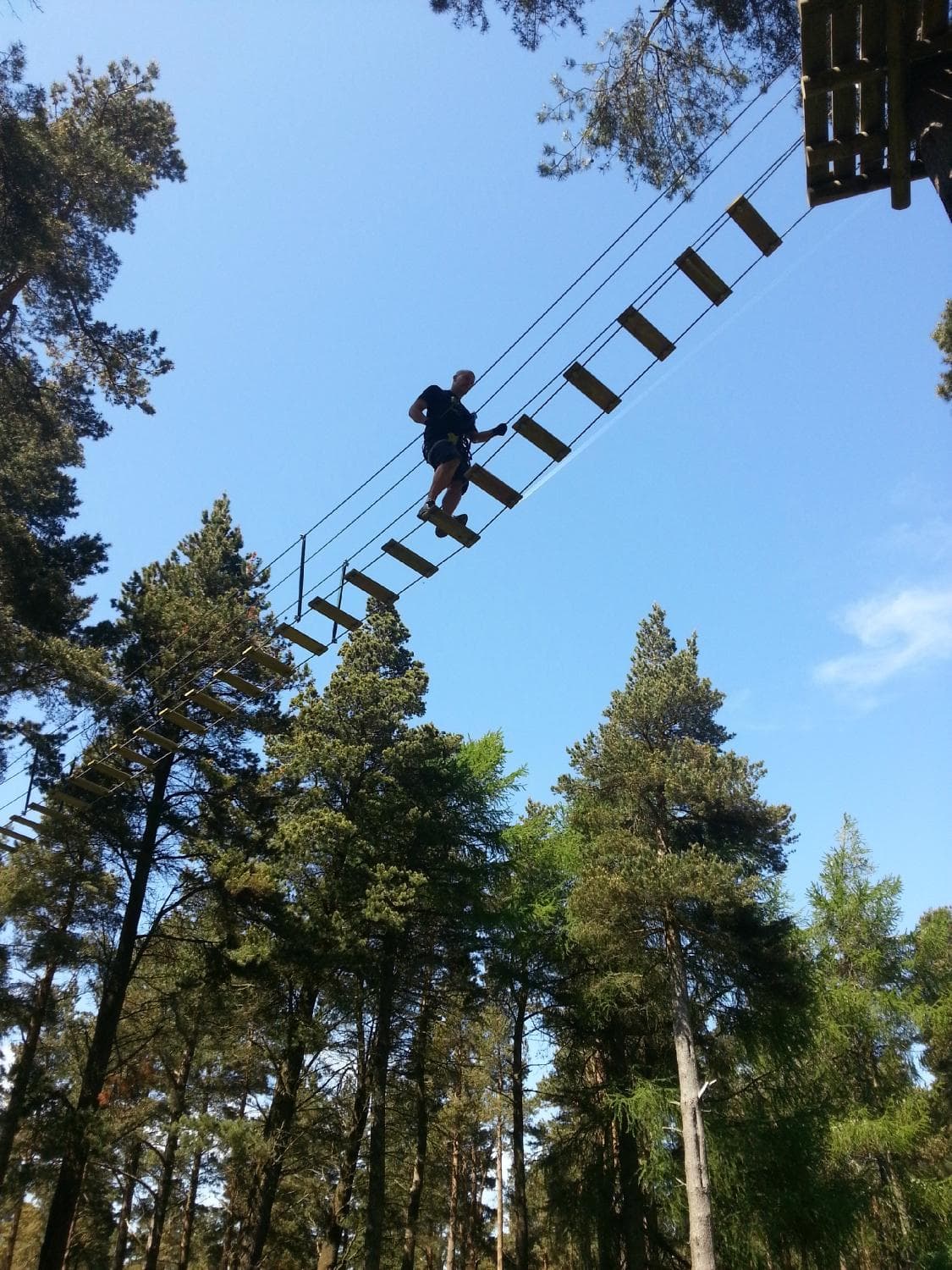 One of the bridge obstacles.