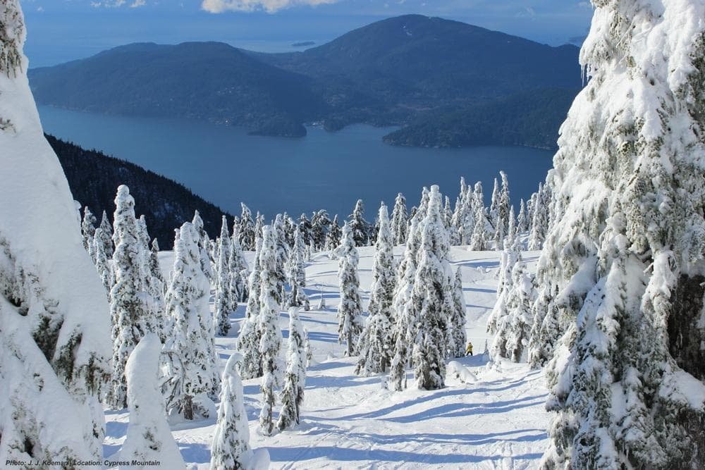 The View from Sky Chair at Cypress Mountain