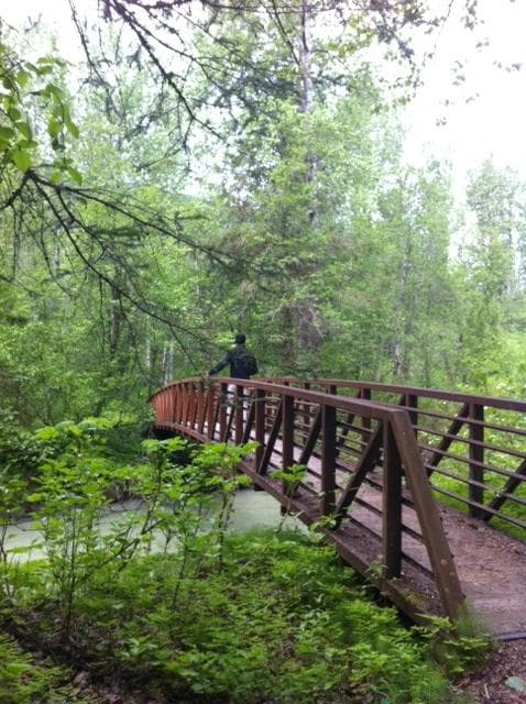 Crossing the Salmon Bridge on the Chilkoot Trail