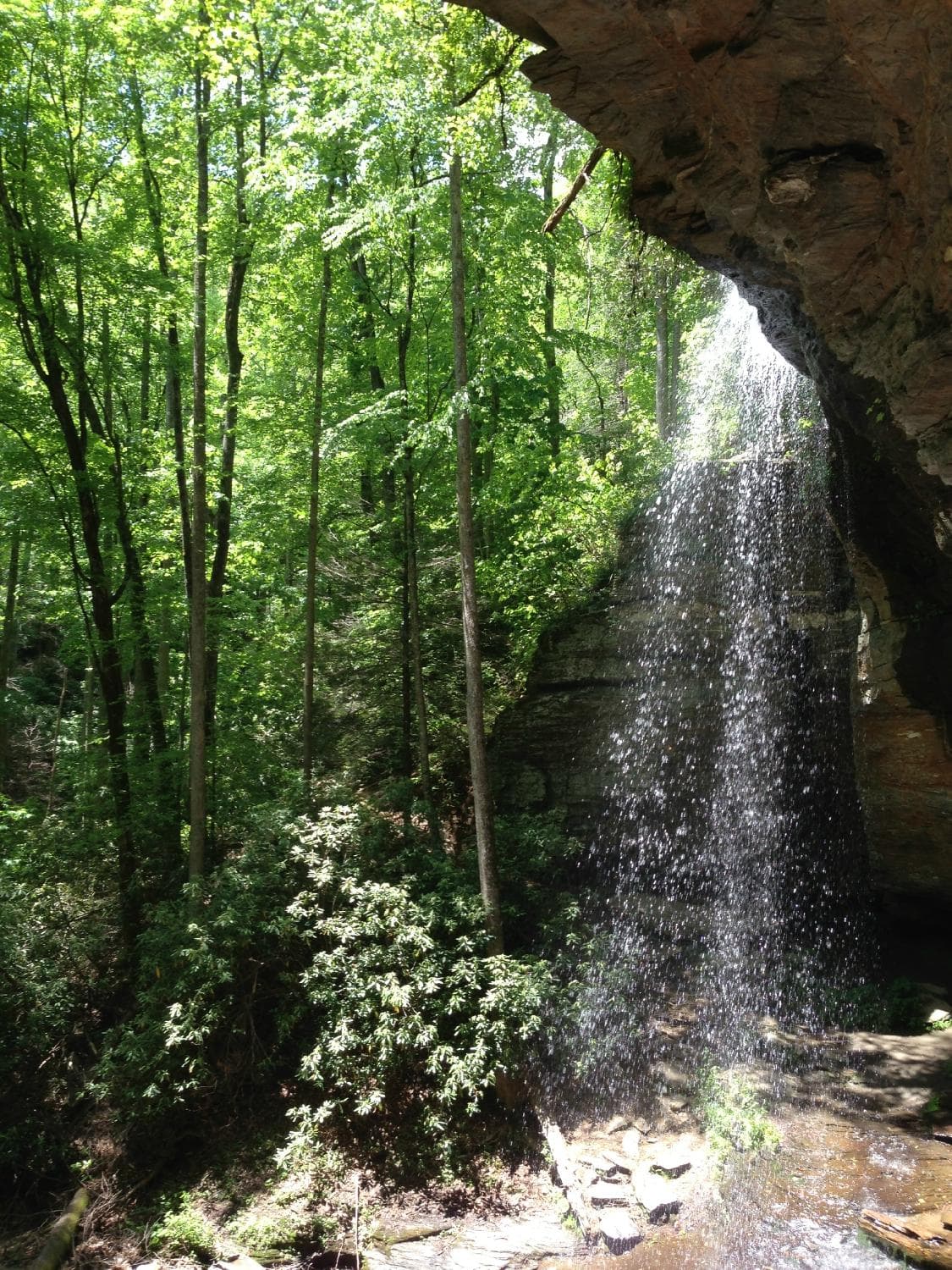 Moore Cove Falls