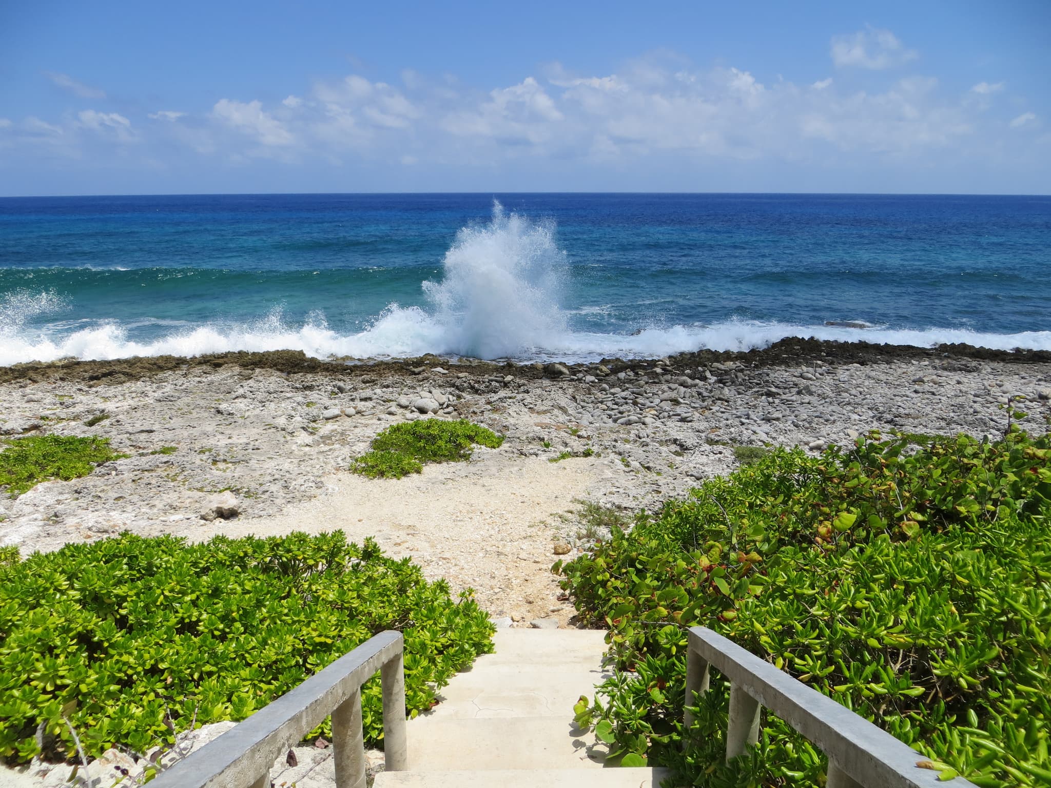 Blow Holes