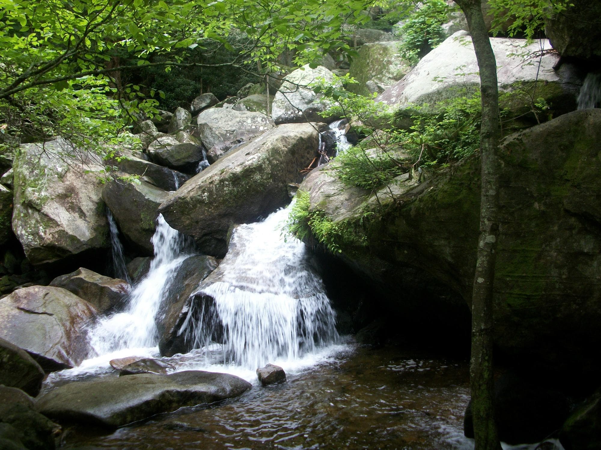 Waterfall along the High Shoals Falls Loop Trail