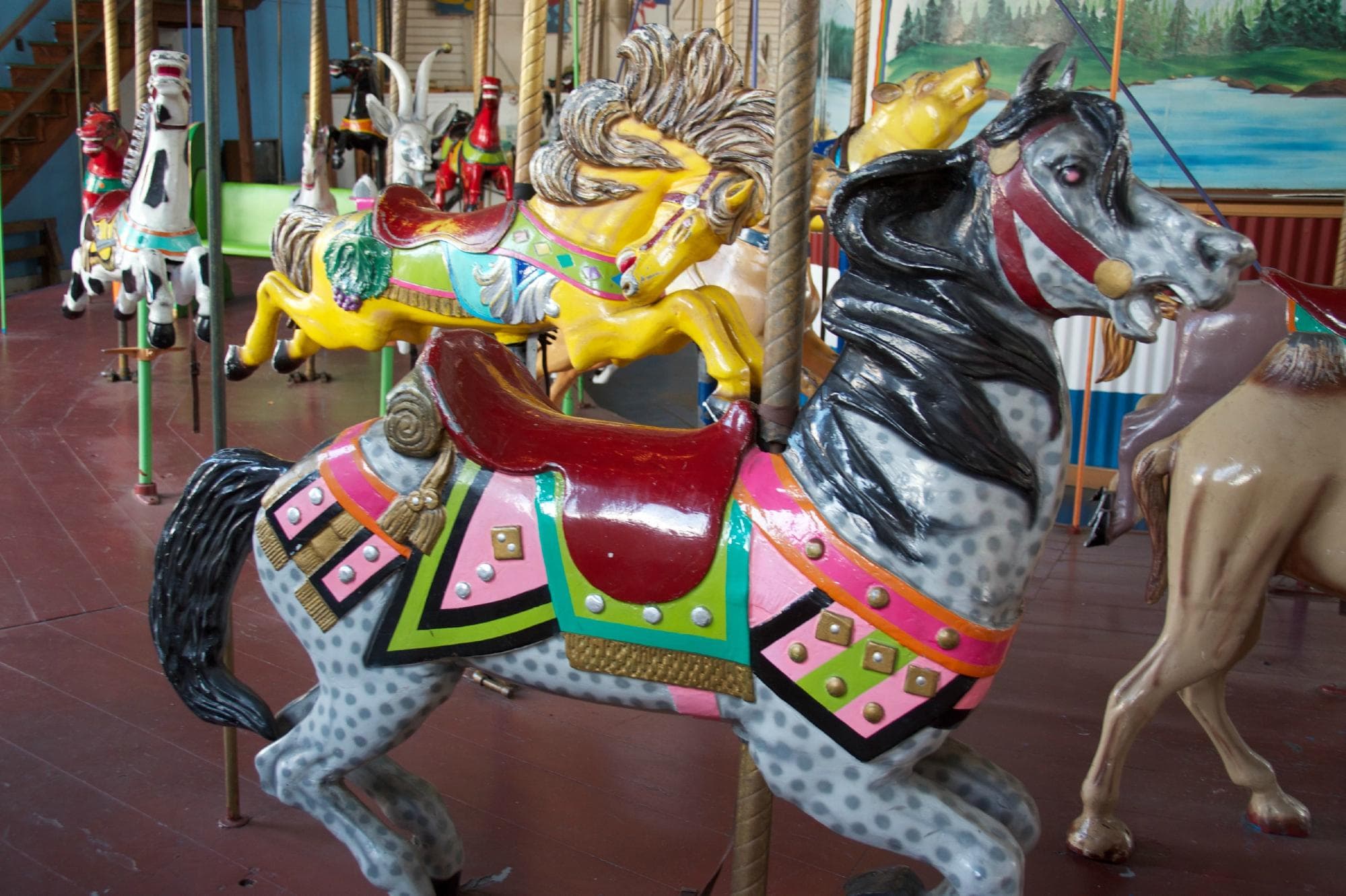 ride the carousel