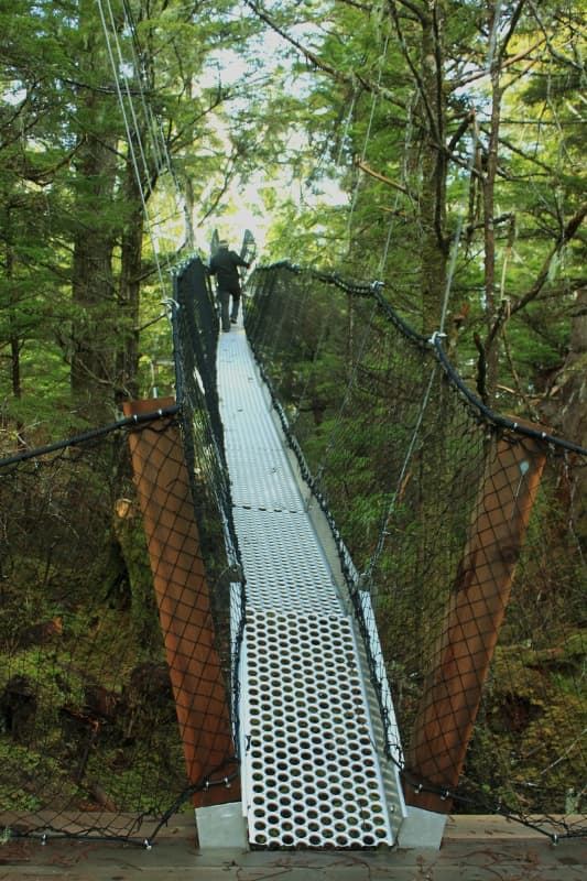 Going up the canopy walkway to the viewing tower