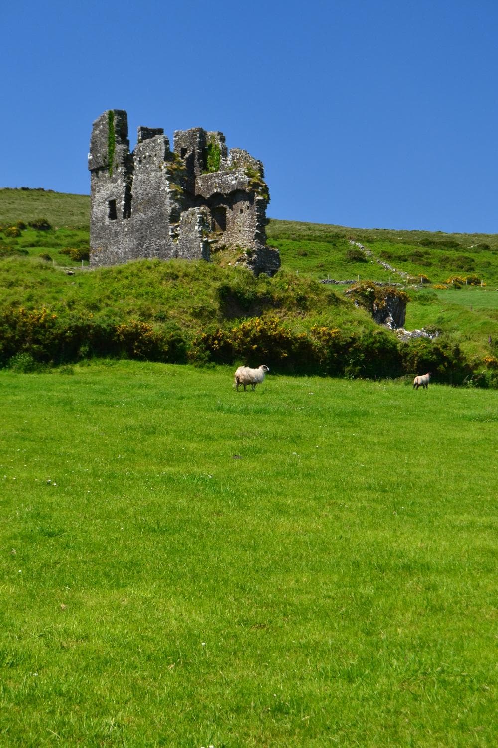 Off In The Distance The Ruins of Rahinnane Castle