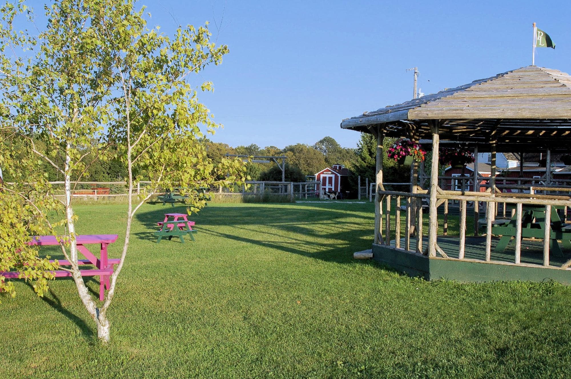 Picnic or relax in shaded gazebos