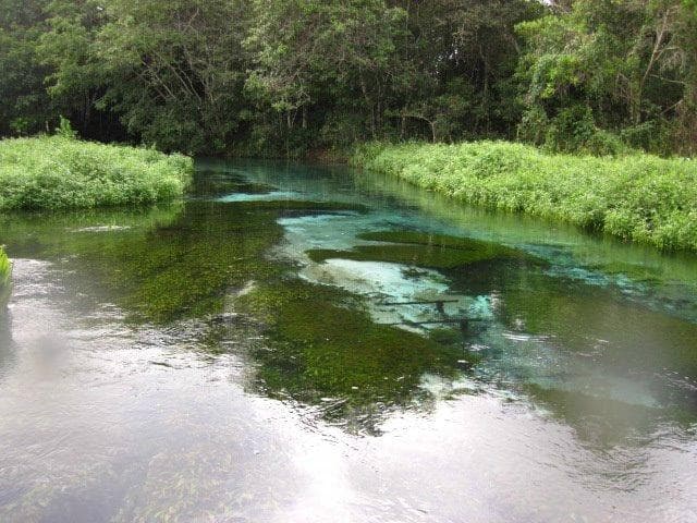 Rio sucuri - considerado o terceiro rio mais transparente do mundo