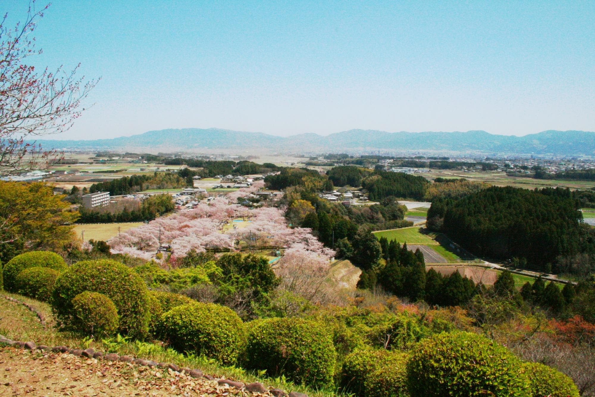 The park from the shrine above.