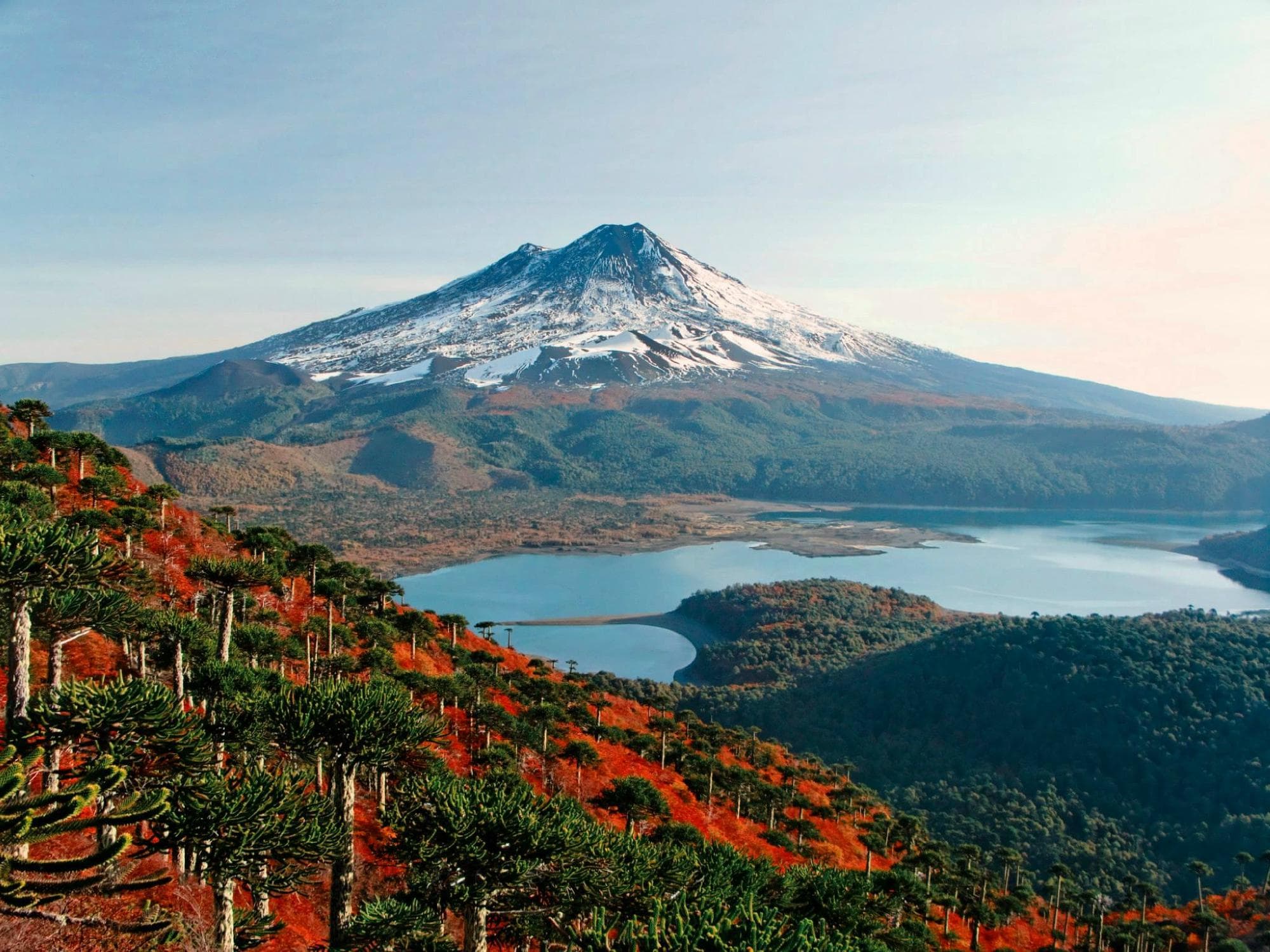 Parque Nacional Conguillío