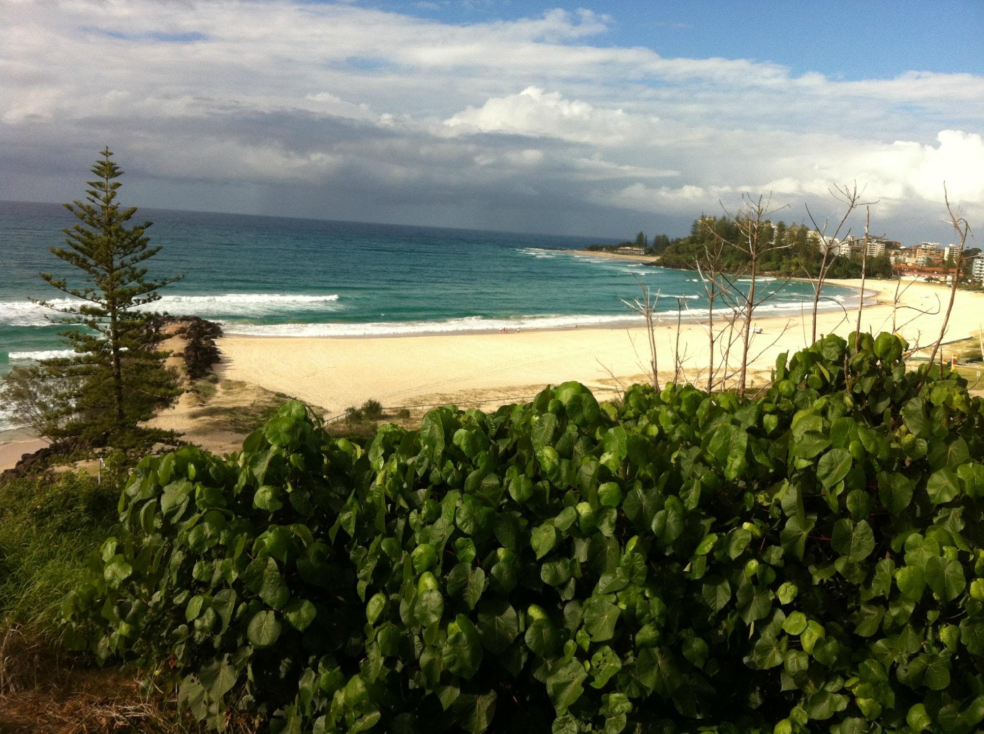 Kirra Hill Lookout