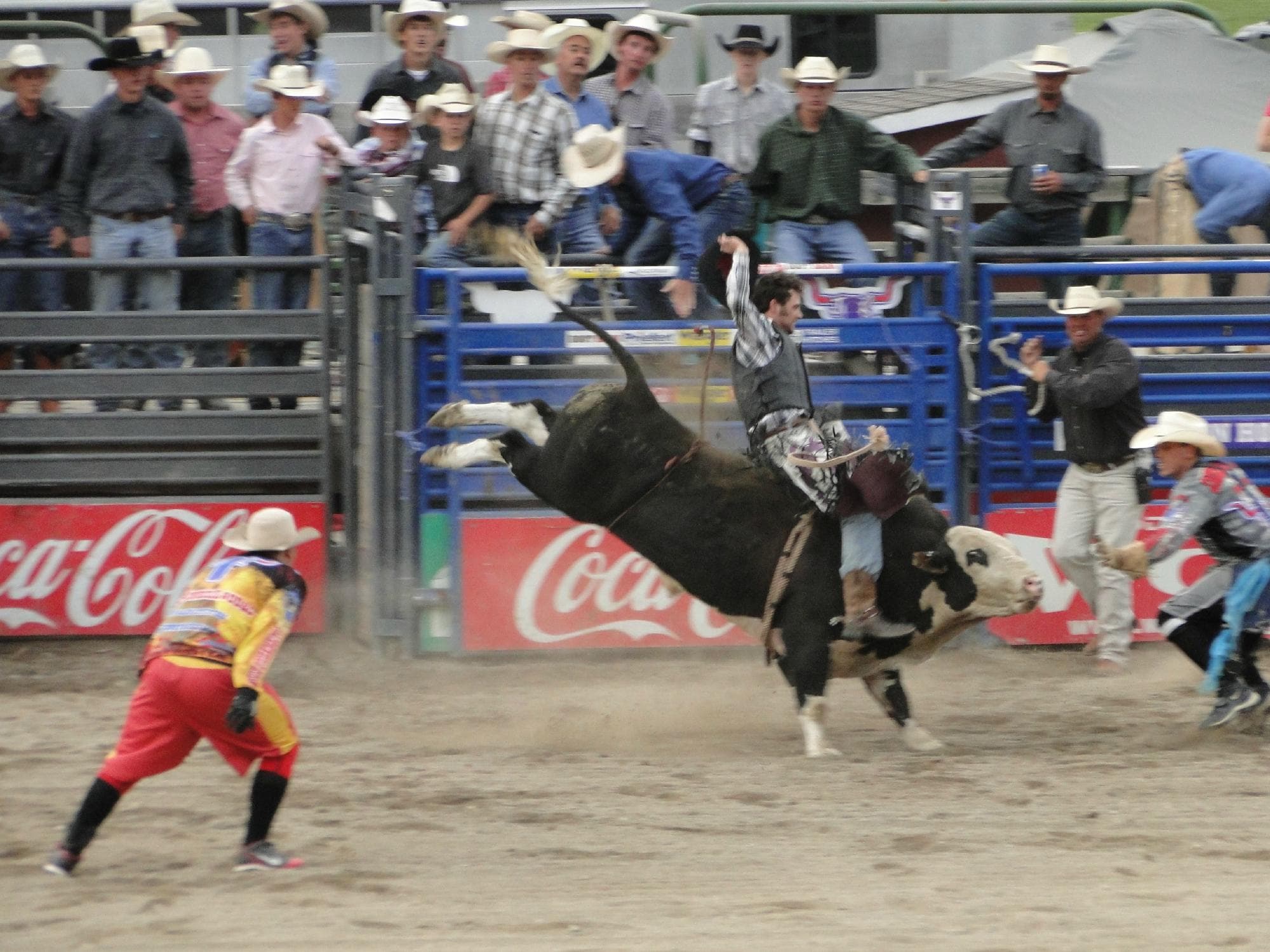 Bull riding 2