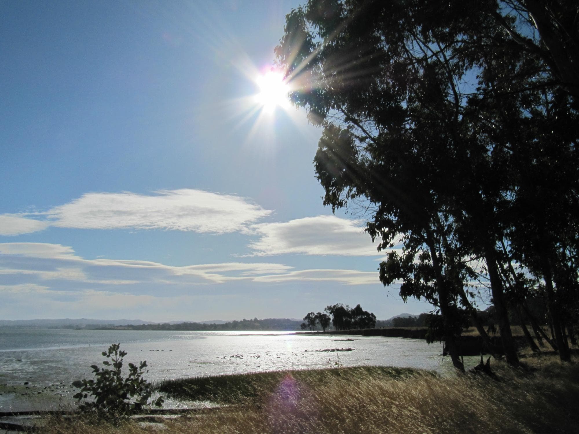 Point Pinole Regional Shoreline