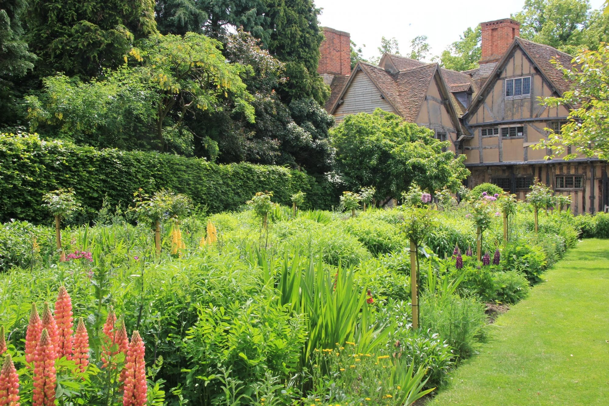 Hall's Croft garden