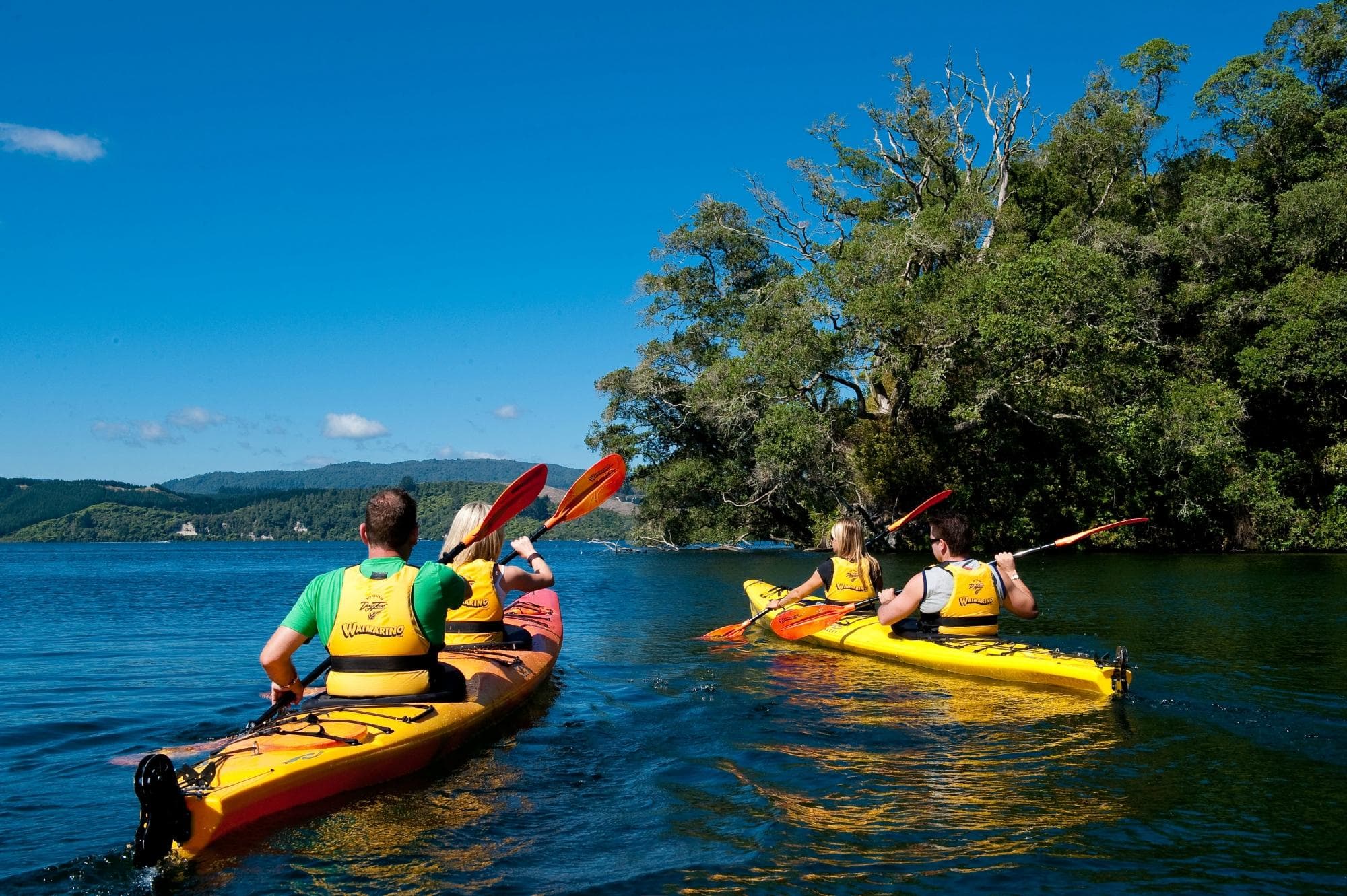 Scenic Lake Rotoiti Tour