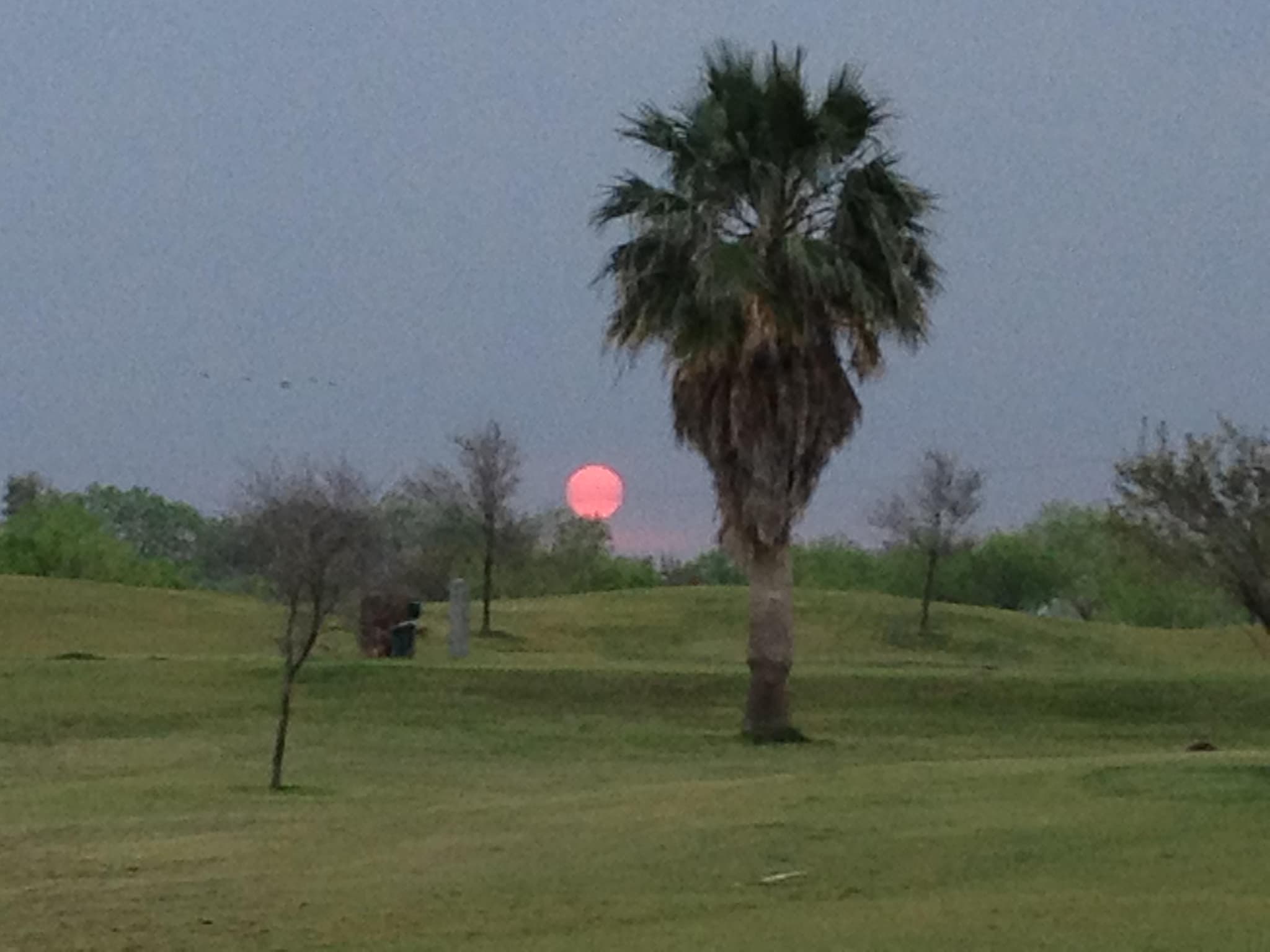 Sunrise at Palmview