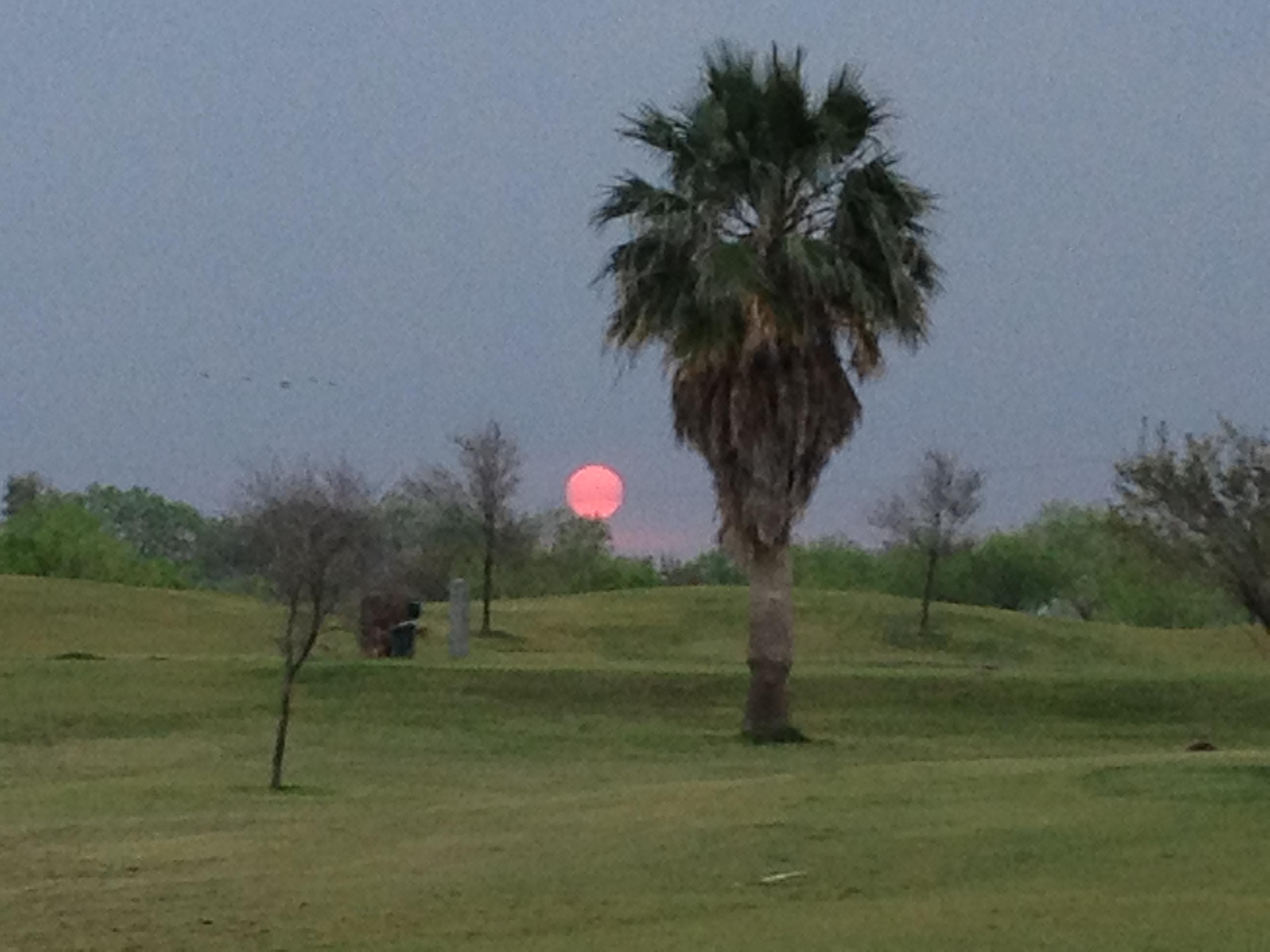 Sunrise at Palmview