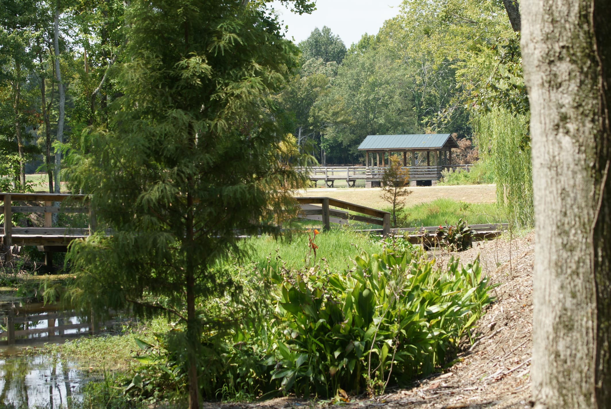 Brick Pond Park trails wrap around many large and small ponds (over 30 acres of wetlands)