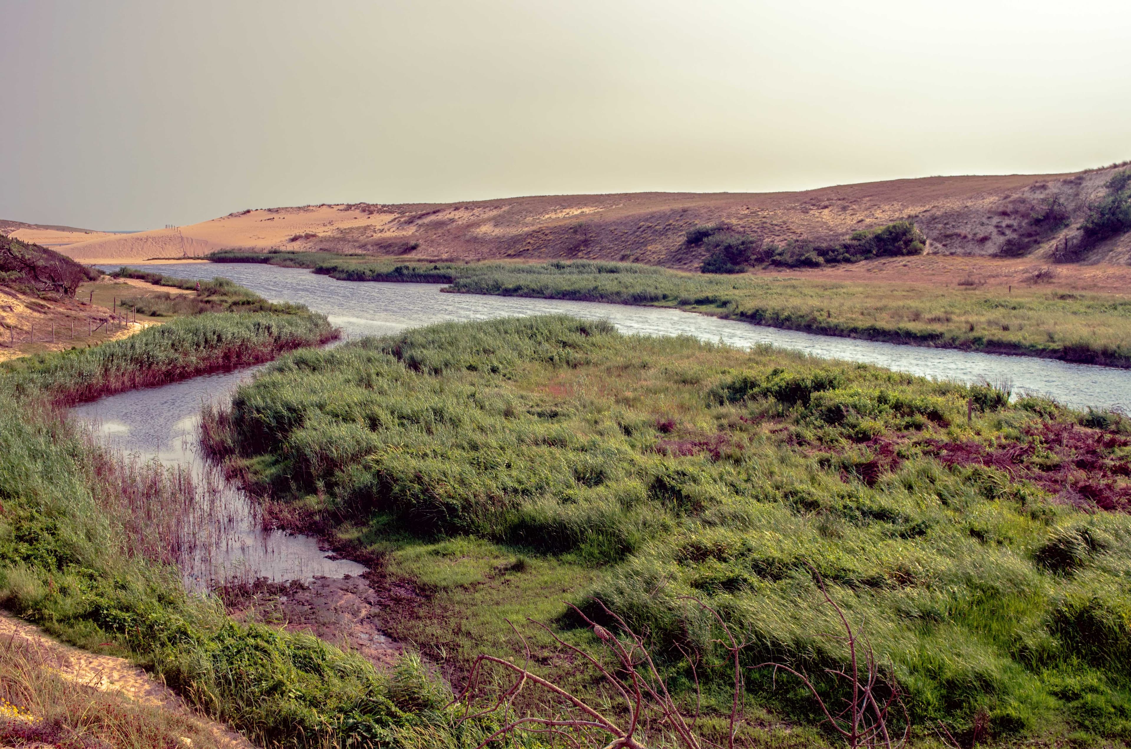 pres de l'embouchure