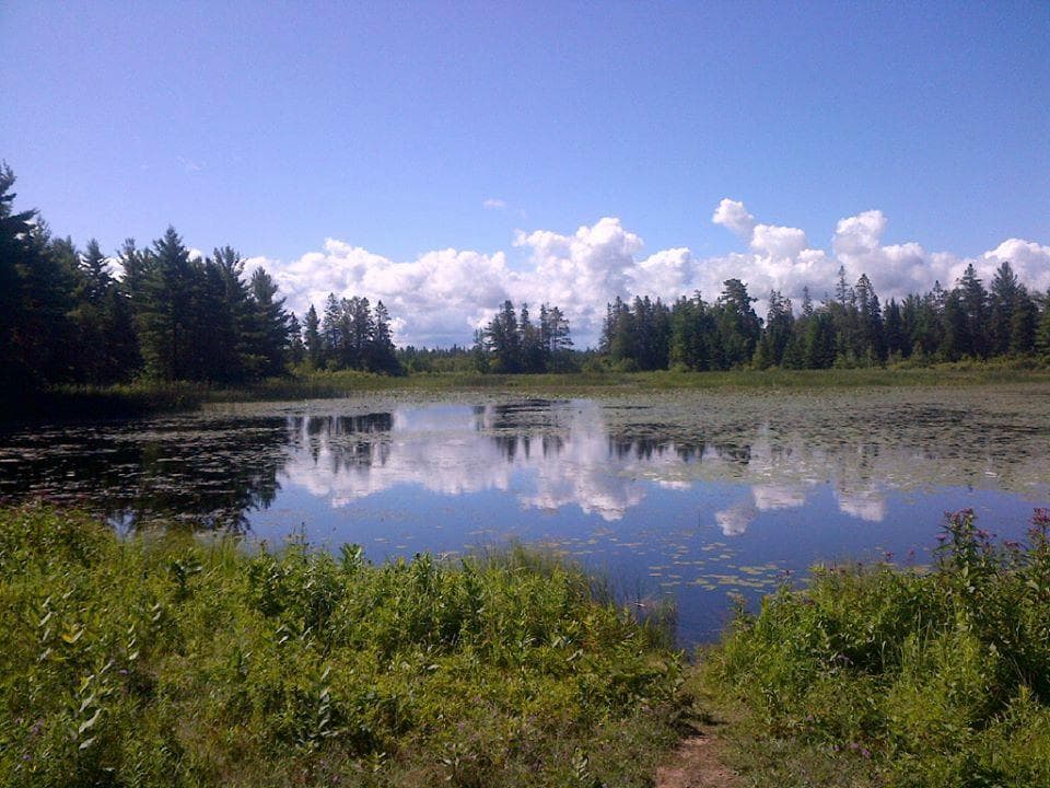 On one of the hiking trails is Goose Pond