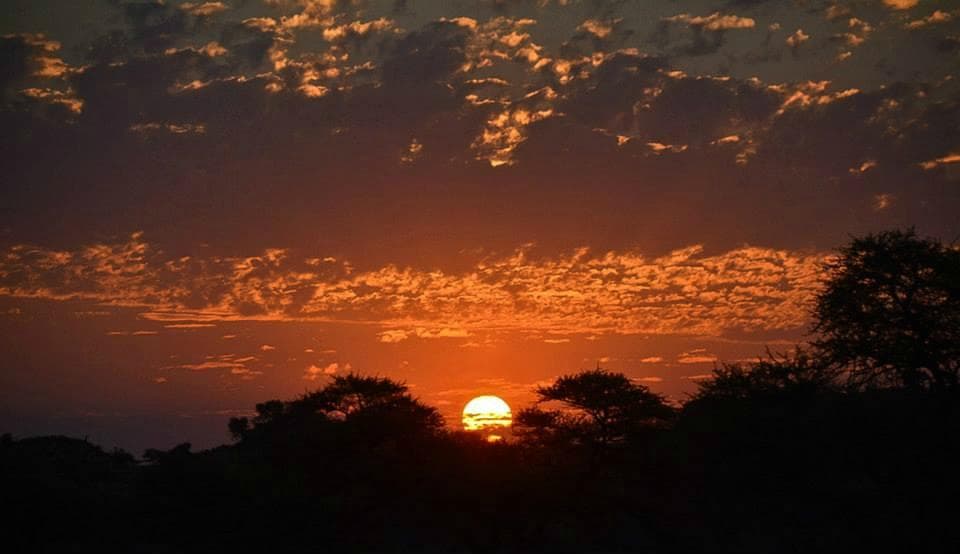 Sunset at Mokala
