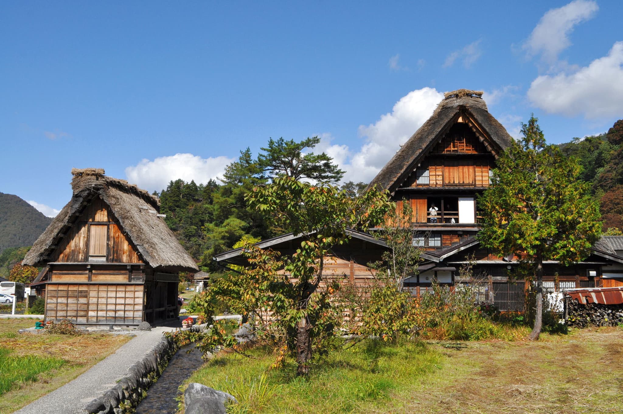 和田家