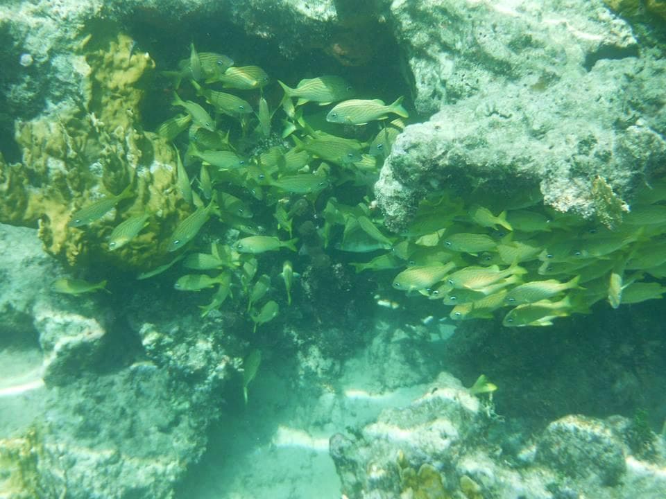 Deadman's Reef Paradise Cove